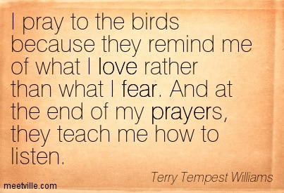 Quotation-Terry-Tempest-Williams-fear-love-prayer-Meetville-Quotes-225161