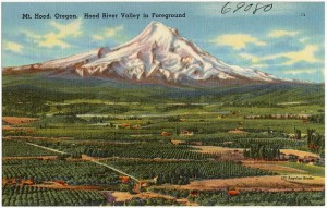640px-Mt._Hood,_Oregon._Hood_River_Valley_in_foreground_(69080)